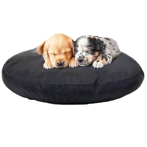 Armor™ Round Bed in Black, with a dog on it