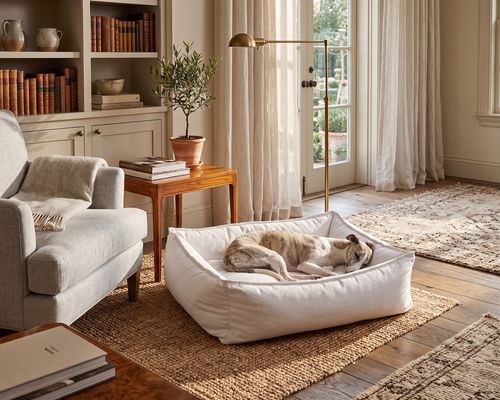 B-Lounge in Pure White