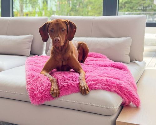 Blanket Topper in Cherry Blossom
