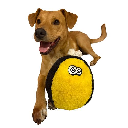 Bumble Bee Fuzzball in Yellow and black, with a dog on it