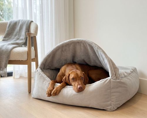 Canopy Bed in Cloud