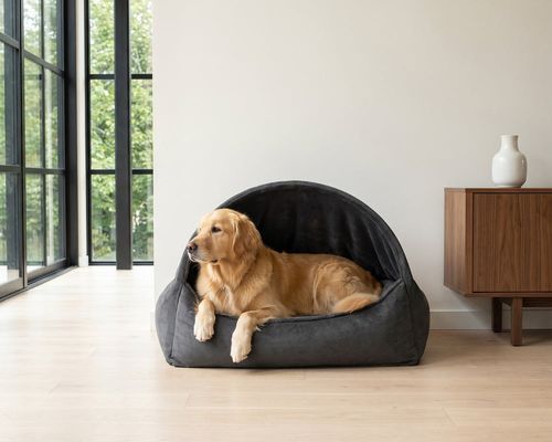 Canopy Bed in Galaxy