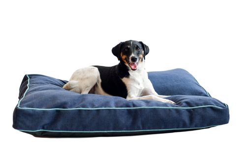Chenille Rectangle Bed, with a dog on it