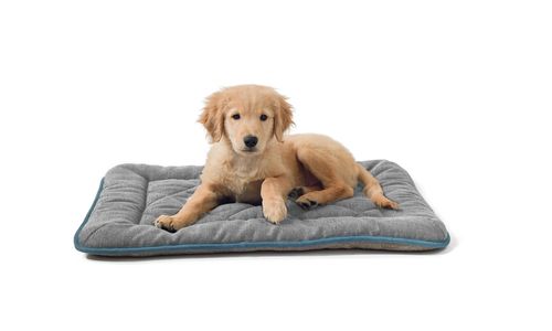 Chenille Sleeper Cushion, with a dog on it