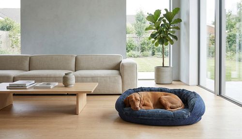 Crescent Reversible Bed, with a dog on it