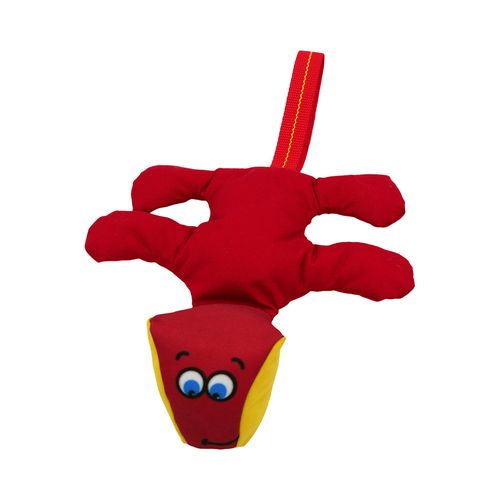 Diggity Dog from above
