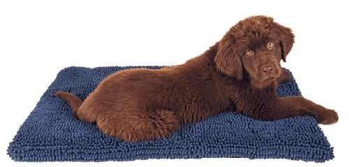 Dirty Dog Cushion Pad in Bermuda Blue, with a dog on it