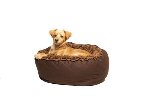 Dirty Dog Donut Bed in Brown