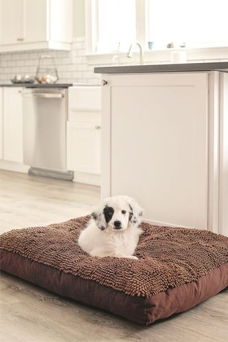 Dirty Dog Rectangle Bed, with a dog on it