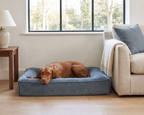 Divine Futon in Mineral