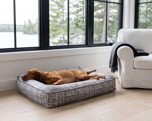 Divine Futon in Tribeca