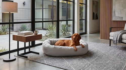Donut Bed, Signature Solids in Granite