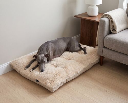 Dream Futon in Fluffernutter