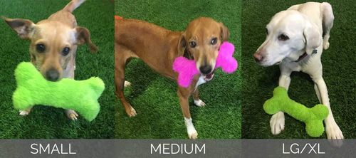 Duraplush® Bone in As shown, with a dog on it