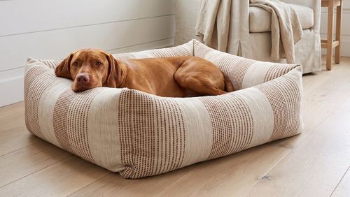 The Franklin, Signature Textures in Seashell