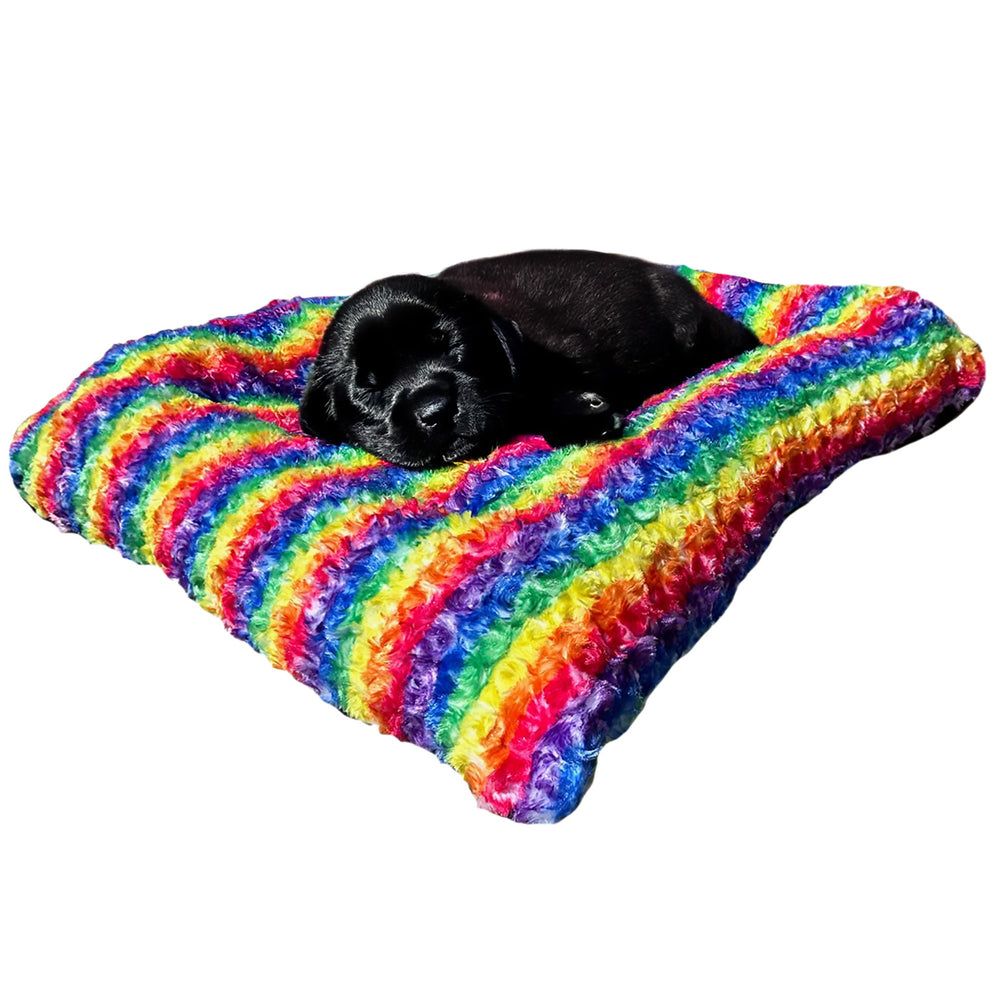 Furvana™ Cloud Bolster Bed, Rainbow, with a dog on it