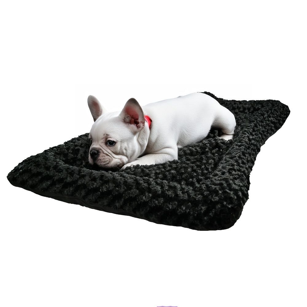 Furvana™ Cloud Bolster Bed in Black, with a dog on it