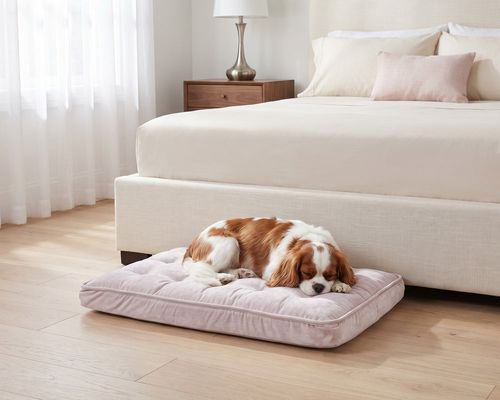 Luxury Crate Mattress in Blush