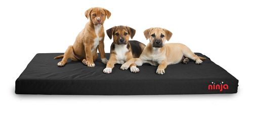 Ninja Chew-Resistant Bed