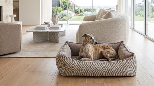 Oslo Ortho Bed in Diamondback