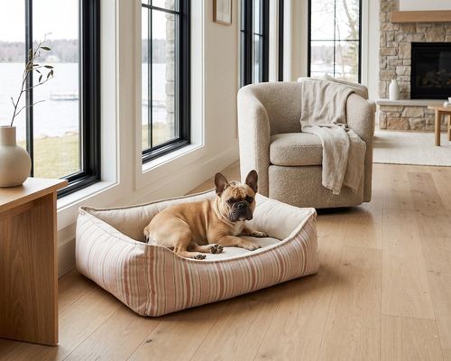 Oslo Ortho Bed in Sanibel Stripe