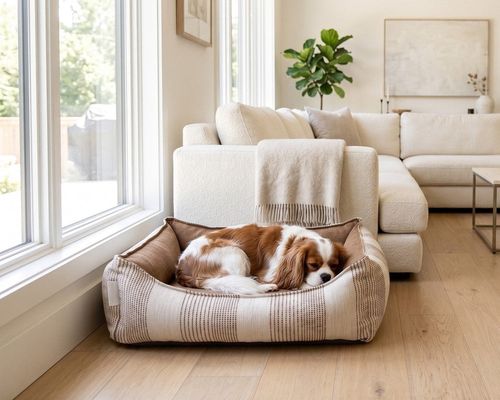 Oslo Ortho Bed in Seashell