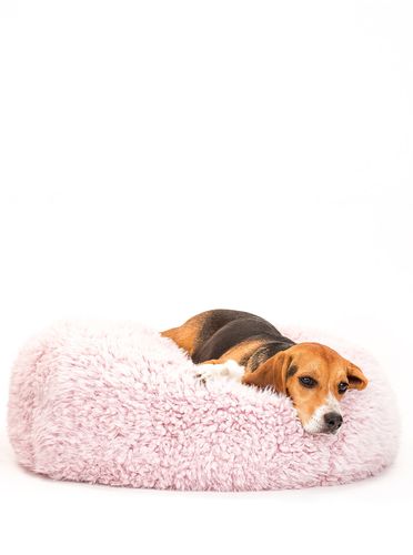 POD Bed in Blush