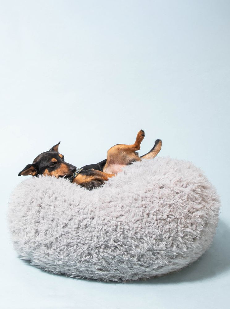 POD Bed in Grey