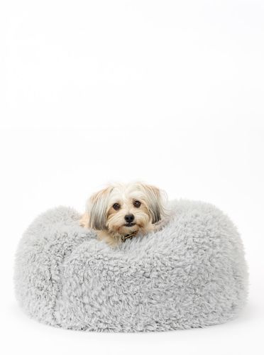 POD Bed in Grey