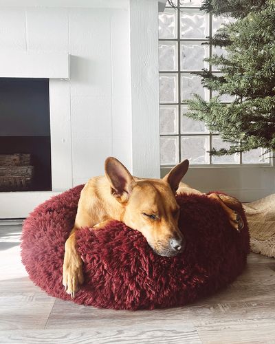 POD Bed in Merlot