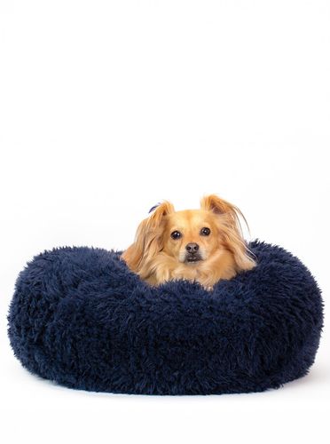 POD Bed in Navy