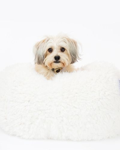 POD Cover in Ivory