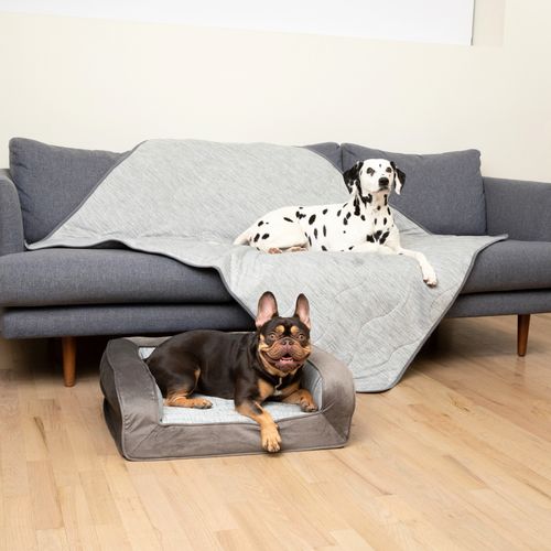 PupChill™ Cooling Bed + Waterproof Blanket