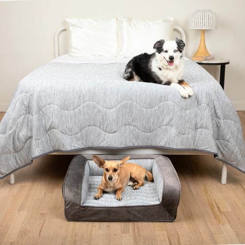 PupChill™ Cooling Bed + Waterproof Blanket