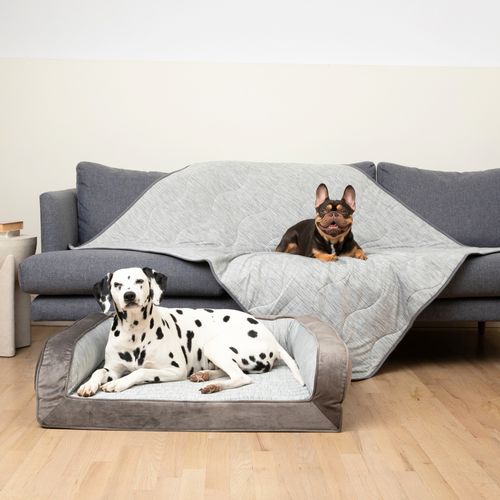 PupChill™ Cooling Bed + Waterproof Blanket