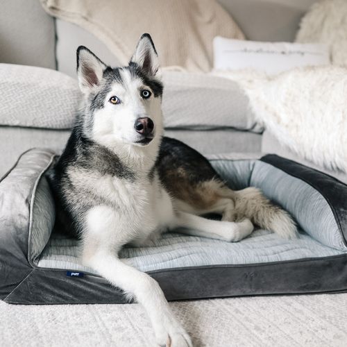 PupChill™ Cooling Bolster Bed