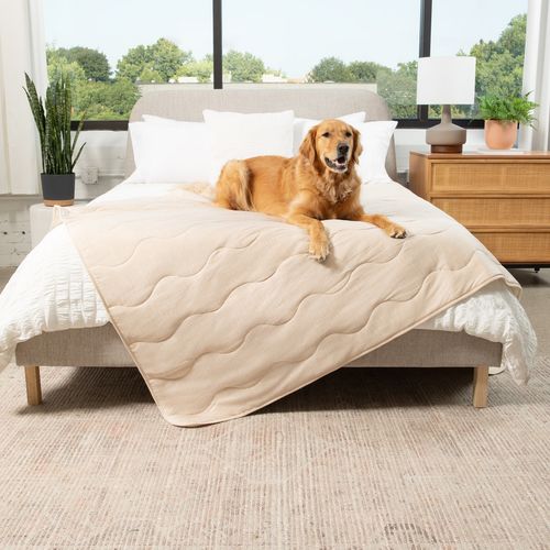 PupChill™ Cooling Waterproof Blanket in Arctic Sand