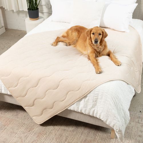 PupChill™ Cooling Waterproof Blanket in Arctic Sand