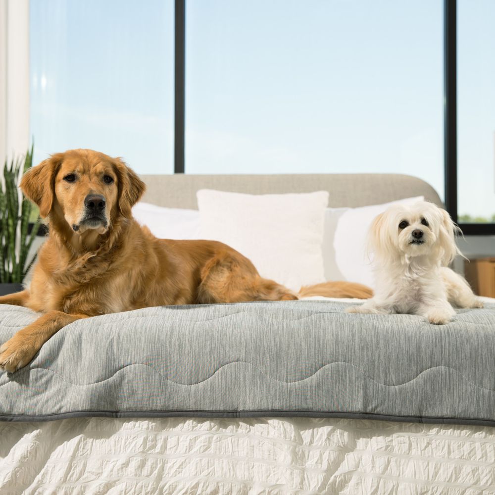 PupChill™ Cooling Waterproof Bed Runner in Arctic Grey