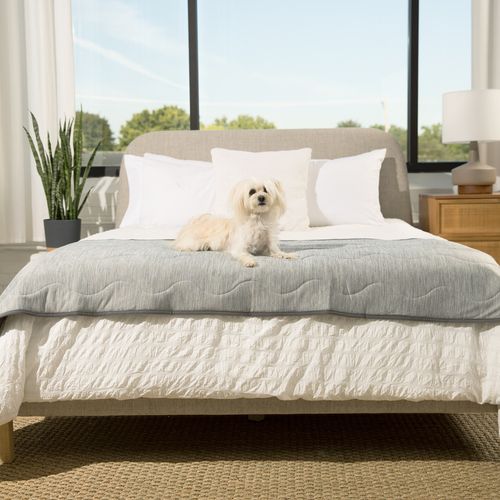 PupChill™ Cooling Waterproof Bed Runner in Arctic Grey