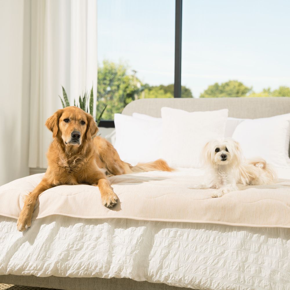 PupChill™ Cooling Waterproof Bed Runner in Arctic Sand