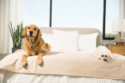 PupChill™ Cooling Waterproof Bed Runner in Arctic Sand