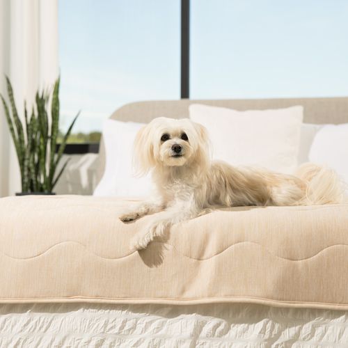 PupChill™ Cooling Waterproof Bed Runner in Arctic Sand