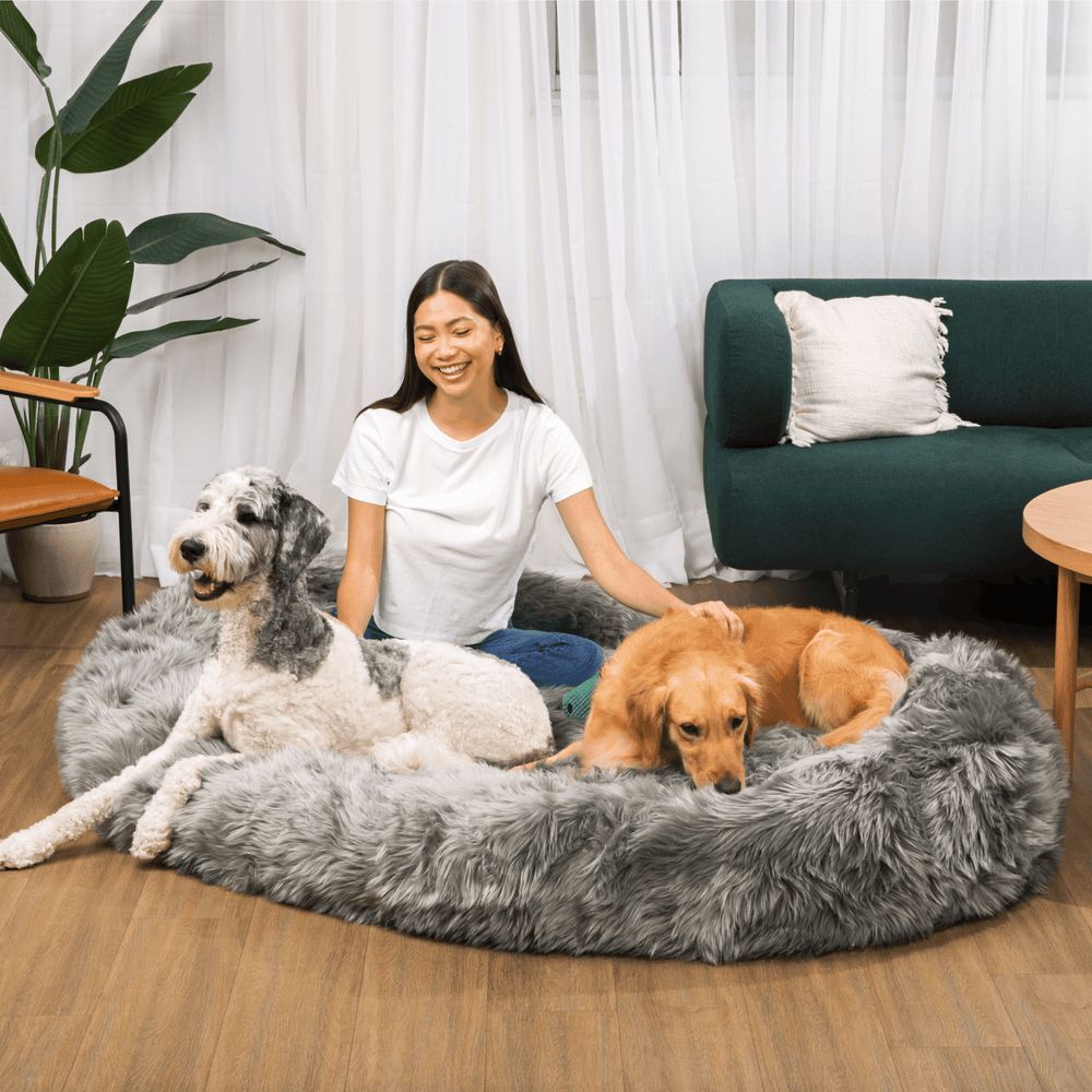 PupCloud™ Human-Size Memory Foam Bed in Charcoal Grey