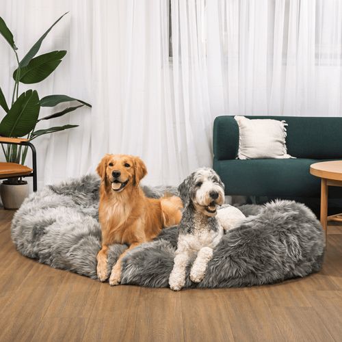 PupCloud™ Human-Size Memory Foam Bed in Charcoal Grey