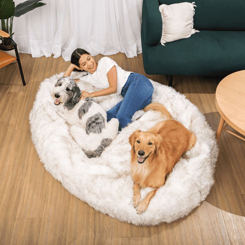 PupCloud™ Human-Size Memory Foam Bed in White with Brown Accents