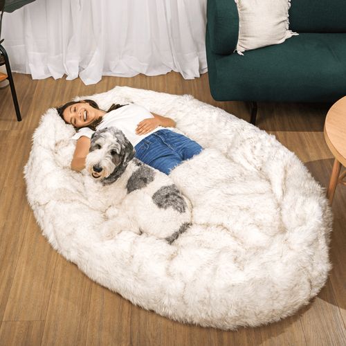 PupCloud™ Human-Size Memory Foam Bed in White with Brown Accents
