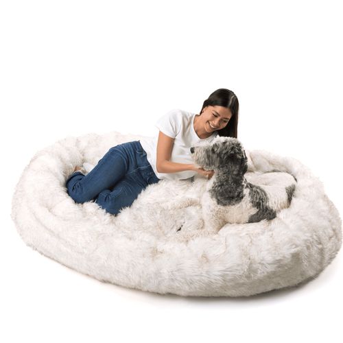 PupCloud™ Human-Size Memory Foam Bed in White with Brown Accents