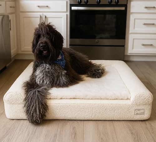 PupLuxe™ Bouclé 3-Bolster Bed in Cream Bouclé