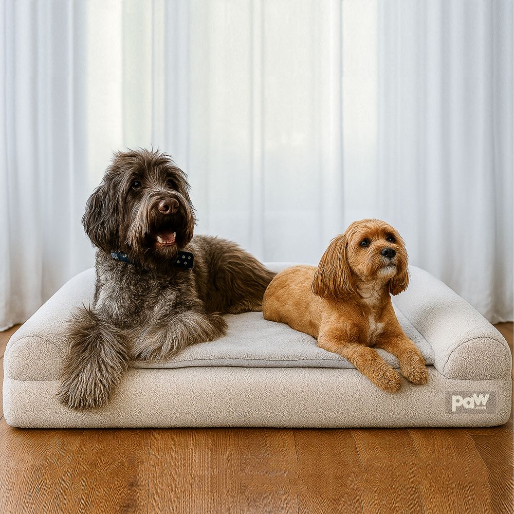 PupLuxe™ Bouclé 3-Bolster Bed in Grey Bouclé